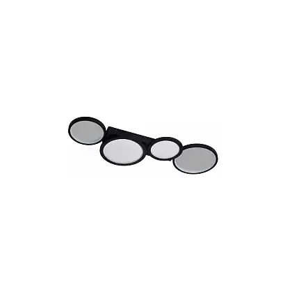 Накладной светильник Favourite Neumel 4700-4C